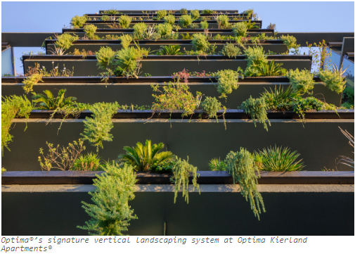 Preserving the Natural Environment Through Sustainable Landscaping